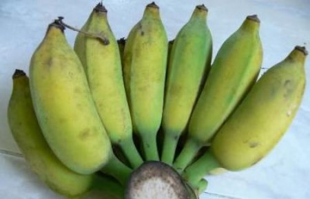Chuối lùn - Công Ty TNHH Fresh Banana